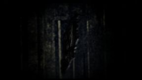 Silence of the Sleep