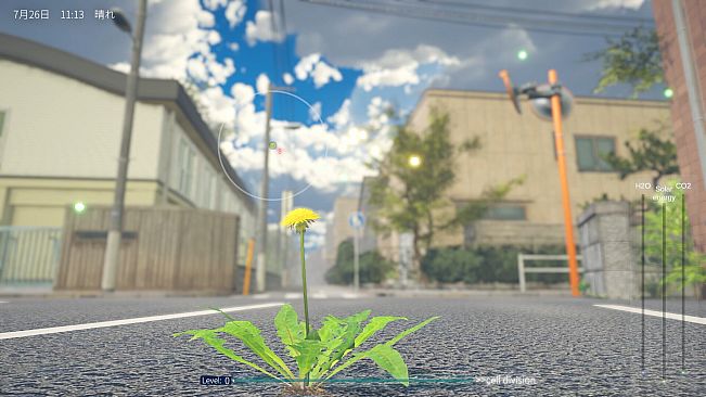 タンポポは耐える。