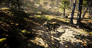 Animal