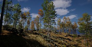 ISLAND：THE LAST