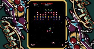 ARCADE GAME SERIES: GALAGA