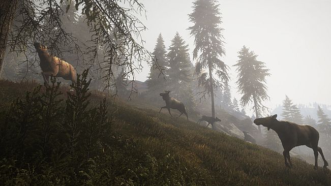 theHunter: Call of the Wild - Facing the Wild 1