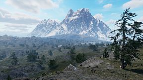 Your Journey of Survival