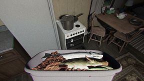 Face of Fear: The Forester