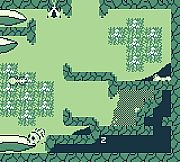 LesbiAnts - Our New Morphology