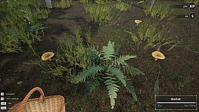 Mushroom Hunter World