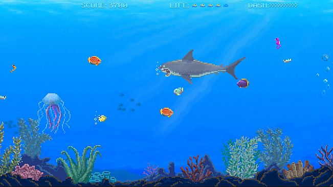 Watch Out: Shark!