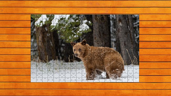 Bear vs. Wolf Jigsaw Puzzle - Expansion Pack 5