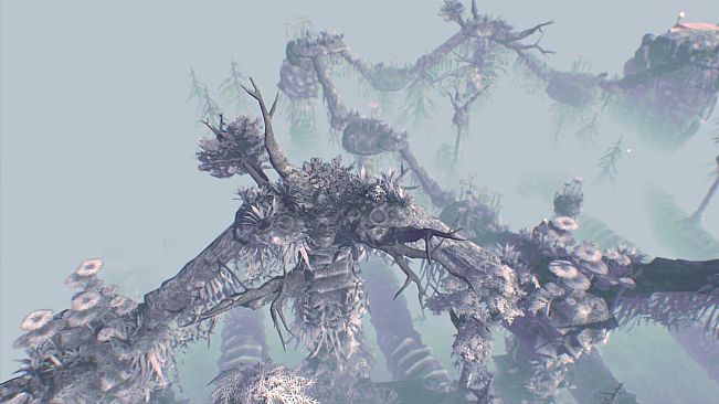 古咒迷途 (lost curse)