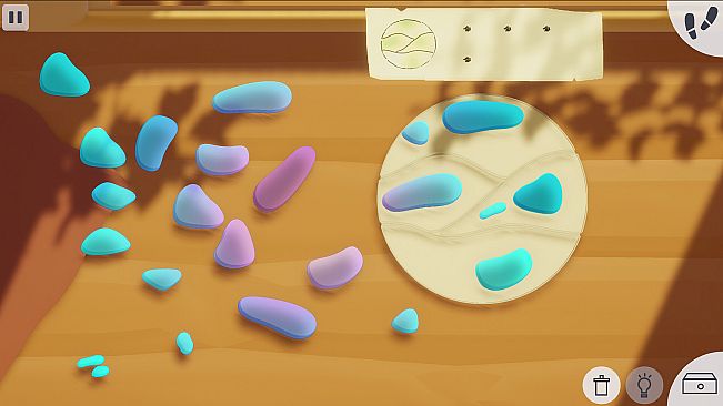 Dreamshore