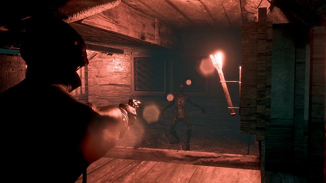 Frankenstein: Awakening of Horror