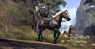 The Elder Scrolls Online - Crown Packs