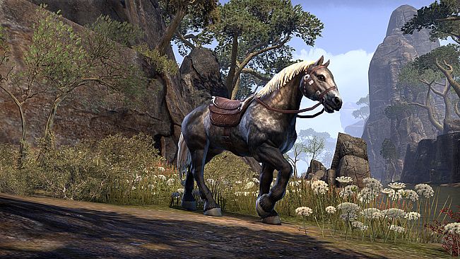 The Elder Scrolls Online - Crown Packs