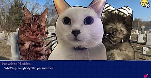 Cat President: 3rd-Rate Candidate