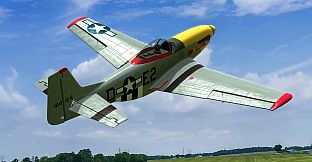RealFlight Evolution - E-flite UMX P-51D Mustang “Detroit Miss”