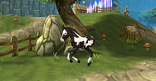 Horse Paradise - Foals Expansion Pack