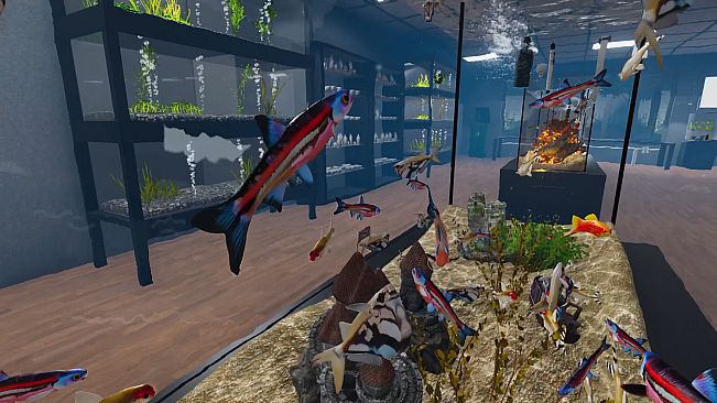 Aquarist - American Fish DLC
