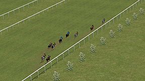 Horse Racing 2016
