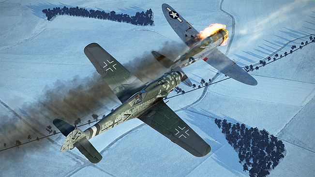 IL-2 Sturmovik: Fw 190 D-9 Collector Plane