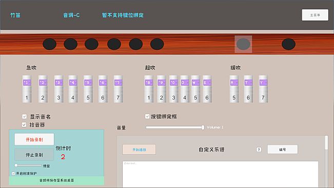 Musical Instrument Simulator