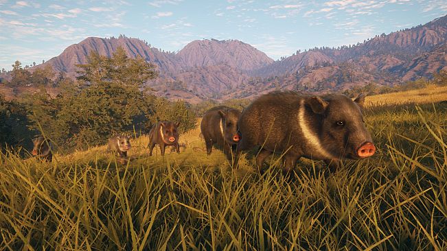 theHunter: Call of the Wild - Rancho del Arroyo