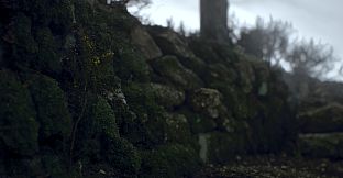 Ritual Tides