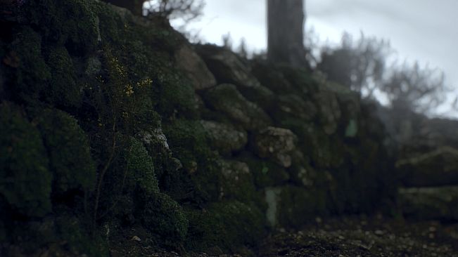 Ritual Tides