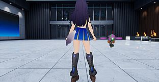"Cheerleader" Costume in 2 Color Varieties