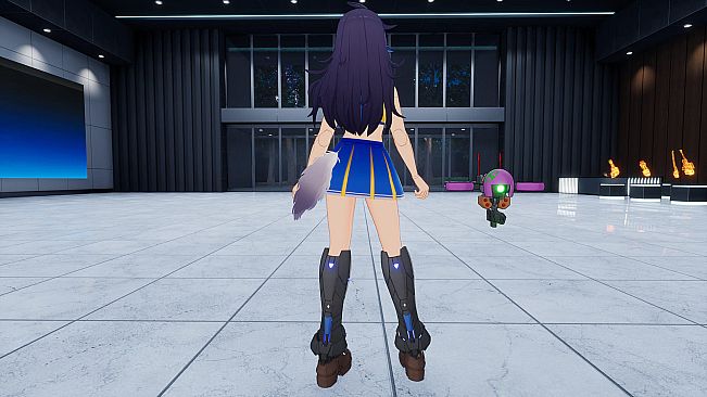 "Cheerleader" Costume in 2 Color Varieties