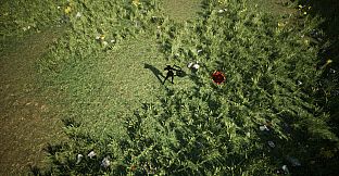 Shades Of Rayna - Damage Type Pets