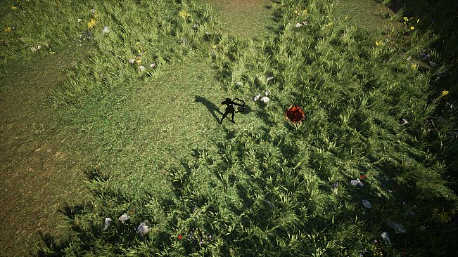 Shades Of Rayna - Damage Type Pets