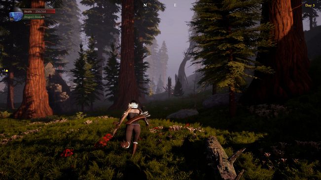 Last Dragoon: Awaken