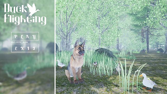 Duck Flight Simulator 2021