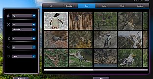 Let's Play Jigsaw Puzzles: Birds