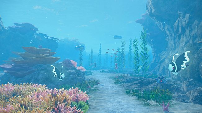 Pokémon Waves