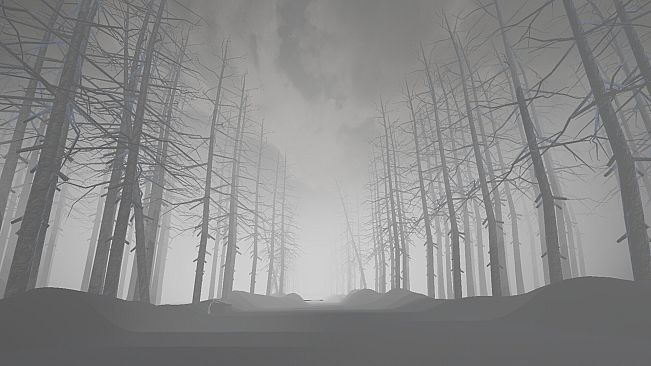 NEVER TURN BACK - Chapter 2: The Forest