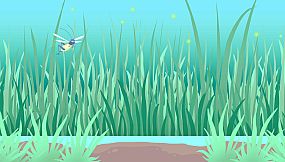 Play With Your Cat! - A Virtual Toy Box