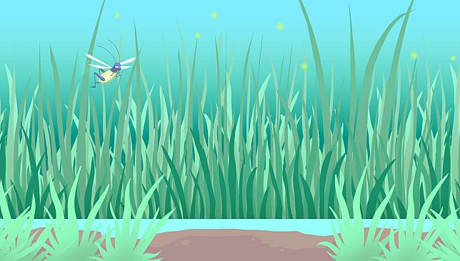 Play With Your Cat! - A Virtual Toy Box