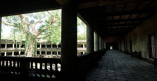 Within the Shadowed Halls