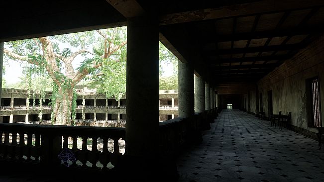 Within the Shadowed Halls