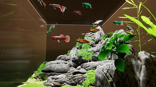 Fish Game - Free Fish Pack