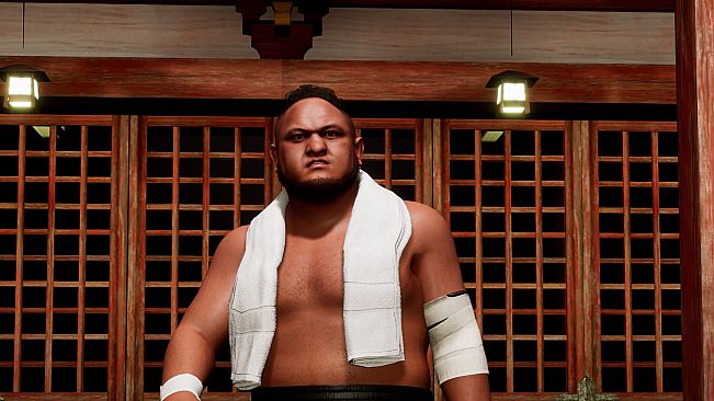 AEW: Fight Forever - World War Joe