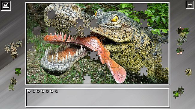 Super Jigsaw Puzzle: Generations - Amusements