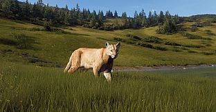 Way of the Hunter - Elkcrest Island