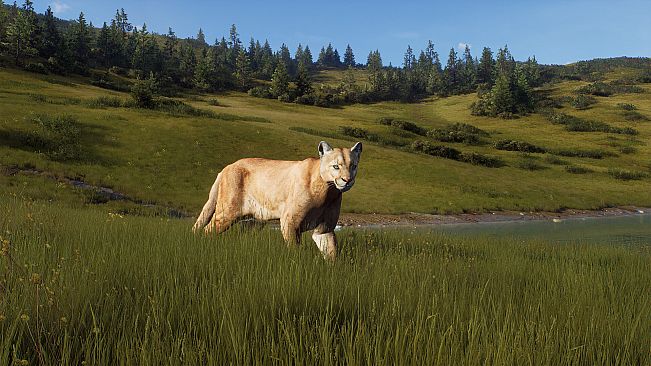 Way of the Hunter - Elkcrest Island