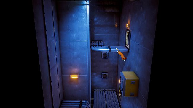 Schrodinger's Cat Burglar