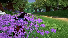 Hentai Fantasy World