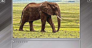 Super Jigsaw Puzzle: Generations - Random Animals Puzzles