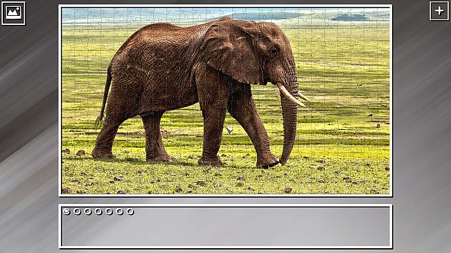 Super Jigsaw Puzzle: Generations - Random Animals Puzzles