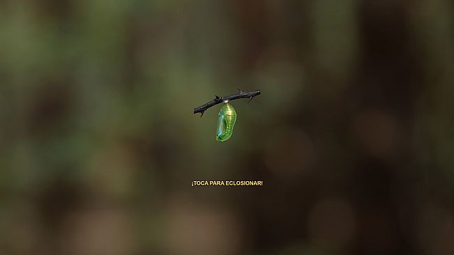 Butterfly Project